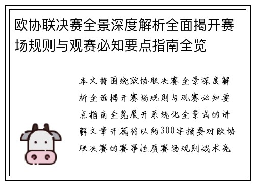 欧协联决赛全景深度解析全面揭开赛场规则与观赛必知要点指南全览